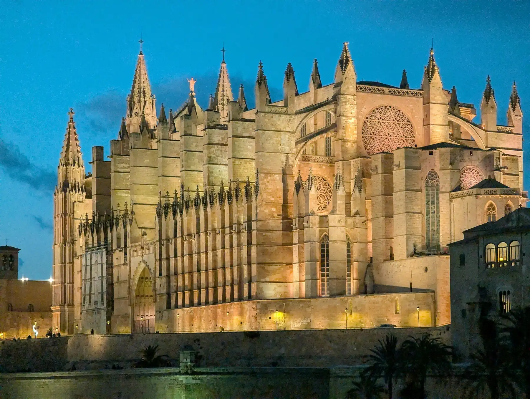 Catedral de Palma de Mallorca iluminada a hora azul — López Fehlmann Abogados